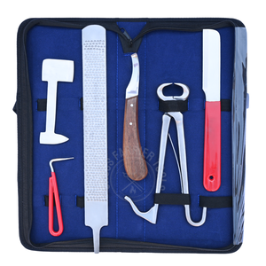 Kit d'outils professionnels pour fermeurs avec coupe-ongles pour poulets de ferme, pince à crins, râpe à crins, couteau à dégrossir les ongles, polisseur de crins courbé et outil de ramassage - Product Image 1