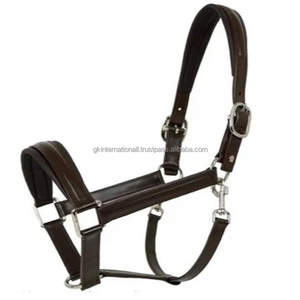 Fancy Stitched <b>Padded</b> Leather Horse Halter Adjustable Double Crown Brass Buckle Anatomical Halter Horse - Product Image 3