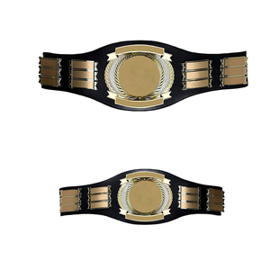 Ceinture de lutte durable, ceinture de musculation respirante et confortable, équipement de sport, fourniture en gros OEM - Product Image 2