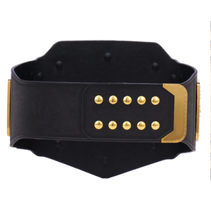 Ceintures de championnat universel de lutte poids lourd de haute qualité, taille adulte, plaques métalliques, sangle en cuir - Product Image 3