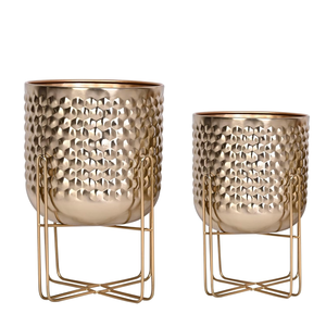 Juego de 2 Macetas de Hierro Pulido Dorado con Soporte, Acabado Pulido, Macetas Modernas y Elegantes para Uso en Interiores o Exteriores - Product Image 1