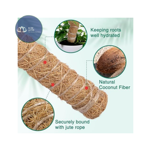 Poste de Musgo de Coco Ecológico Natural de Alta Calidad – Suministros de Soporte Duraderos de Fibra de Coco - Product Image 1