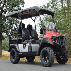 Carrito de Golf Eléctrico de 2 Plazas para Turistas, Alta Calidad, Certificado CE/DOT, Frenos de Disco Delanteros, Velocidad de 30 km/h, Alcance de 30 km - Product Image 5
