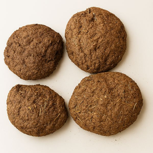 Poudre de fumier de vache séché de ferme indienne, engrais organique, faible MOQ disponible pour les sols mondiaux - Product Image 3