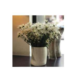 Juego de Jarrones de Flores de Cuerno de Búfalo Antiguo Hechos a Mano de Primera Calidad, Dos Tamaños, Estilo Rústico para Decoración de Interiores del Hogar - Product Image 5