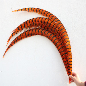 Plumas de Cola de Faisán de Lady Amherst Zebra Extralargas de 80-90 cm al por Mayor para Disfraces de Carnaval y Suministros para Fiestas - Product Image 3