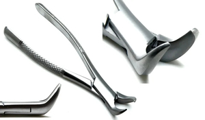 ชุดคีมถอนฟันสแตนเลสแบบใช้ซ้ำได้ 12 ชิ้น โดย Bone Bridge Instruments - Product Image 2