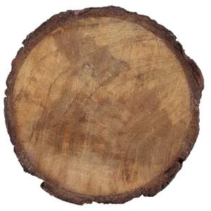 Tree Slice <b>Drink</b> <b>Coaster</b> - Product Image 2