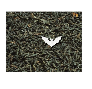 Guano en Polvo de Malla Fina para Programas de Nutrición de Cultivos, Guano Premium para Mejorar el Suelo - Product Image 6