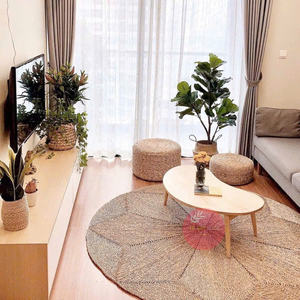 Alfombra multifuncional vintage de jacinto de agua tejida a mano, ecológica y económica, con asa cómoda para la sala de estar. - Product Image 3