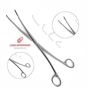 Pinces Rochester Carmalt à mâchoires dentées longitudinales et pointes dentées croisées, instrument chirurgical en acier inoxydable - Product Image 1