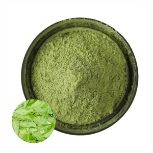 Polvo de Neem Puro de Marca Privada OEM, Polvo de Hoja de Neem de Grado Alimenticio Natural para Nutrición Herbal, Mezclas de Bienestar y Alimentos Funcionales - Product Image 4