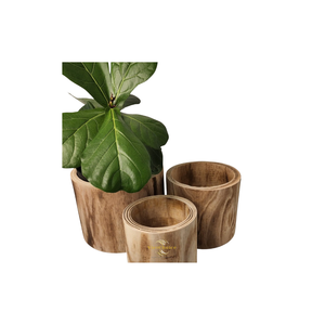 Pot de fleurs en bois artisanal alliant design fonctionnel et beauté naturelle pour la maison et le bureau - Product Image 2