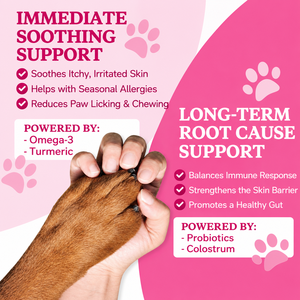 Friandises Naturelles Apaisantes pour Allergies Canines et Felines – Soulagement des Démangeaisons Saisonnières et Soin de la Peau – Soutien Immunitaire – Complément Alimentaire pour Animaux – Marque Blanche – Vente en Gros - Product Image 4