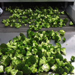 Tunnel de congélation rapide pour poisson, congélateur à tunnel, prix - Product Image 5