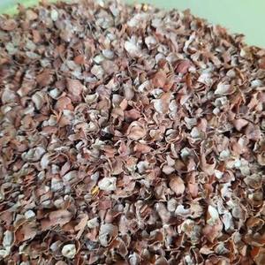 Cáscara de Chana Negra para Alimentación de Ganado, Cáscara de Garbanzo Negra de Grado Alimenticio, Ingrediente para Alimentación Animal, Proveedor a Granel - Product Image 3