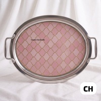 Luxe ovale serveerschaal van roestvrij staal, decoratief roze emaille patroon, fruitschaal/theeblad met handgrepen voor thuisdecoratie