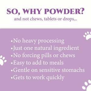 Suplemento Líquido de Extracto de Cardo Mariano OEM para Perros y Gatos, Refuerzo Inmunológico, Desintoxicación Hepática, Cuidado de la Salud y Suplementos para Mascotas - Product Image 4