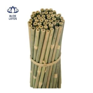 Pajita de Bambú de Material Superior para Bebidas y Servicio de Bebidas en Restaurantes - Product Image 4