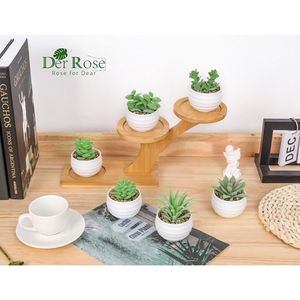 Set di 6 Piccole Piante Succulente Artificiali con Vasi per Decorazione Camera da Letto, Soggiorno, Bagno o Ufficio - Product Image 6