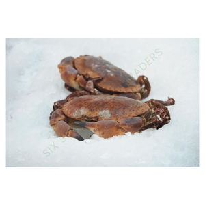 Frozen and Live Mud <b>Crab</b> Premium Grade Fresh Seafood for Bulk Export Natural Shellfish Product Wholesale Export Standard <b>Crabs</b> - Product Image 5