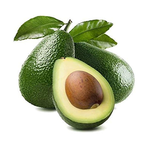 Avocat frais de qualité supérieure, variété Hass, peau épaisse, idéal pour les guacamoles, les salades et les garnitures - Product Image 2
