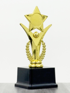 Custom Design Plastic <b>Trophy</b> with Unique Shape for Achievement Awards - Product Image 3