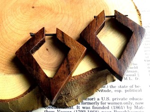 Professional Manufacturer Wooden <b>Earrings</b> <b>Top</b> Tier Wooden <b>Earrings</b> Solid Color Wooden <b>Earrings</b> Custom Wholesale Use Item - Product Image 6