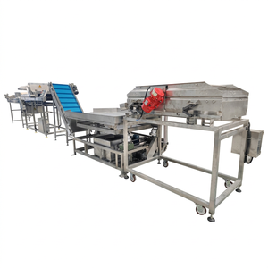 Food & Beverage Factory Use Fruit Production Line Polish Sorting & Dry Dates Cleaning Machine Dates Commercial Multi Functional - Product Image 2