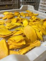 Оптовый поставщик: Сушеное манго Меконг сладкое, нарезанное, в сиропе, AD-процесс, 100% натуральное, международный стандарт