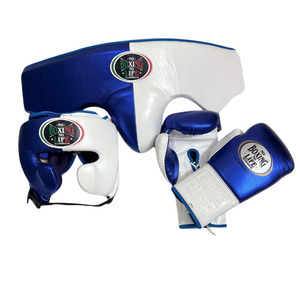 Ensemble de sparring No Boxing No Life, fabrication haut de gamme, gants de boxe en cuir, protège-tête et protège-glandes, best-seller AI-SS-811 - Product Image 1