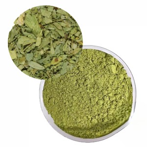 Poudre de Qasil 100% naturelle, moutonnée finement, qualité alimentaire, poudre d'herbes, fabricant de marque privée, fournisseur en gros d'Inde - Product Image 4
