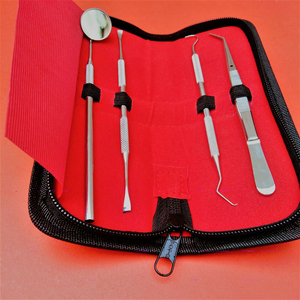 2026 Professional Dental Hygiene Tools Kit 4 Pcs Stainless Steel Manual <b>Tooth</b> Scaler <b>Scraper</b> Equipment Cleaning Filling <b>Teeth</b> - Product Image 2
