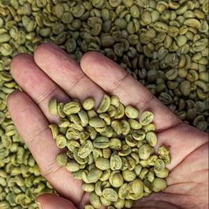 USDA Certified Specialty Arabica Green <b>Coffee</b> <b>Beans</b> S18 from Vietnam Factory, Bulk Quantity, ISO22000 Certificate, MOQ Flexible - Product Image 1