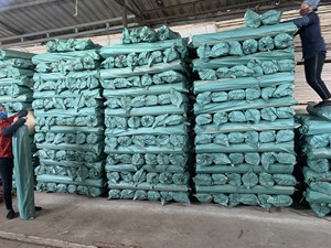 Palo de fregona de flores de eucalipto 100%, palos de escoba de Malasia, palos de Egipto, grano de madera recubierto de PVC y crudo, pavo, Marruecos - Product Image 4