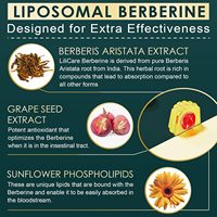 Gummies Liposomales de Berbérine Marque Blanche 500mg Sans Sucre Complément Alimentaire avec Extrait de Cannelle et de Melon Amer Gummies Véganes