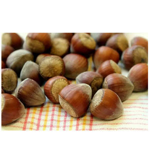 Avellanas de sabor natural, cultivadas de forma orgánica, con cáscara y sin cáscara, listas para el mercado. - Product Image 6