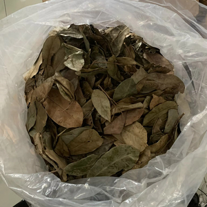 ใบชื่นฉิ่งแห้งคุณภาพสูงจากโรงงานเวียดนาม ชาสมุนไพรธรรมชาติ ผู้ผลิต ผู้จัดจำหน่าย ผู้ส่งออก - Product Image 1