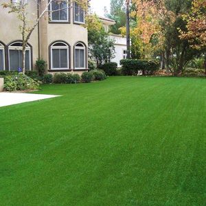Tappeto in Erba Sintetica Realistica 65x3ft Altezza 45mm Pelo PP per Interni ed Esterni Giardino Prato Paesaggistico - Product Image 2