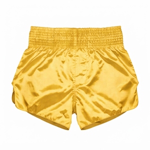 Shorts d'entraînement de Muay Thai pour hommes, légers, respirants, pour les arts martiaux, le kickboxing, la performance athlétique - Product Image 4