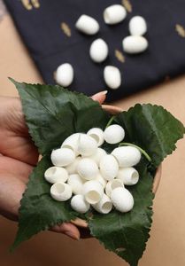 Coconuts de soie de mûrier naturels et écologiques pour le nettoyage du visage et les soins de beauté - Product Image 1