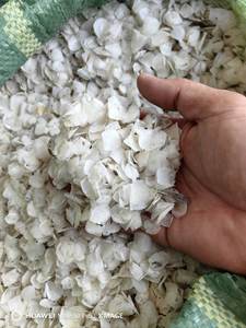 Escamas de Pescado al Mejor Precio de Vietnam para el Mercado Industrial Global - Product Image 3