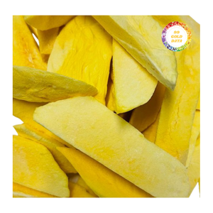 Mangues lyophilisées fabriquées à partir de tranches de mangue de haute qualité pour garnitures de pâtisserie et mélanges alimentaires, vente en gros de fruits lyophilisés du Vietnam - Product Image 6