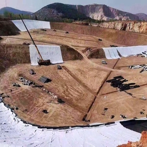 Giá 100g/m², 200g/m² vải địa kỹ thuật polyester không dệt vải địa kỹ thuật - Product Image 6