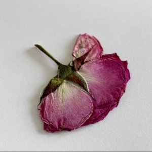 2025 Hot Selling Wholesale <b>Dried</b> Wholesale Price High Quality OEM Service Packing Available in Cheapest Rose <b>Petals</b> in Custom - Product Image 1