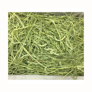 Natural Feed Grade <b>Timothy</b> <b>Hay</b> Fresh Dried High Protein Bulk <b>for</b> Rabbits <b>Guinea</b> <b>Pigs</b> Cattle Horse & Fish 100% - Product Image 4