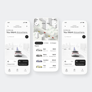 Taxi App <b>Development</b> Services Company| Create Your Own Taxi Booking App by Protolabz EServices - Product Image 4