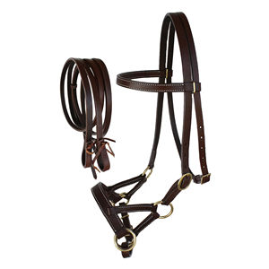 Nouveau style de harnais pour cheval, confort optimal, respirant, séchage rapide, facile à mettre, harnais de qualité supérieure très demandé. - Product Image 1