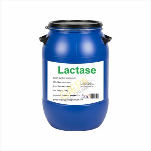 Lactasa 2000-100000 ALU/g en Polvo de Grado Alimenticio Hecho en India - Product Image 1