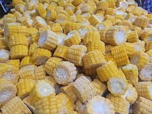 Maíz Hervido Congelado / Maíz Dulce Congelado, Se Aceptan Pedidos OEM, Maíz Dulce Amarillo para Exportación con Buena Calidad - Product Image 6